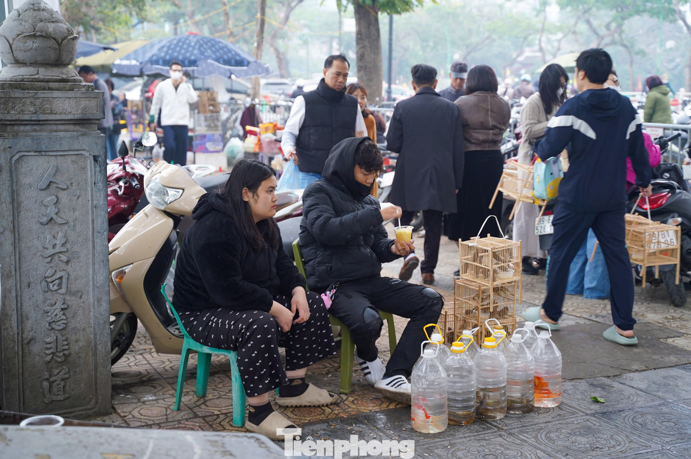 Một số người bày bán chim, cá để phóng sinh.