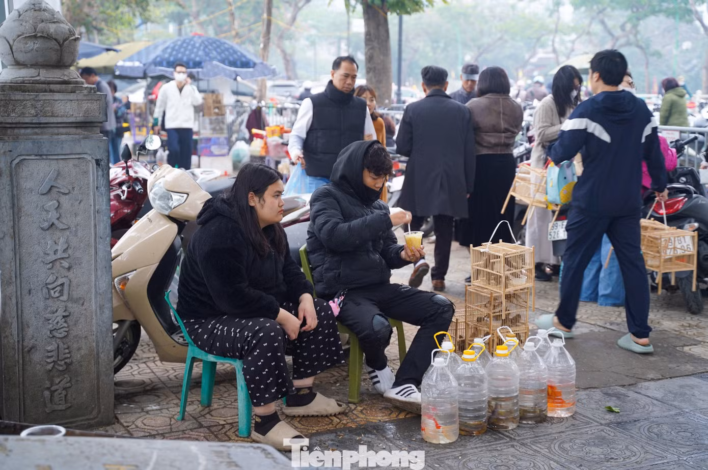 Một số người bày bán chim, cá để phóng sinh.