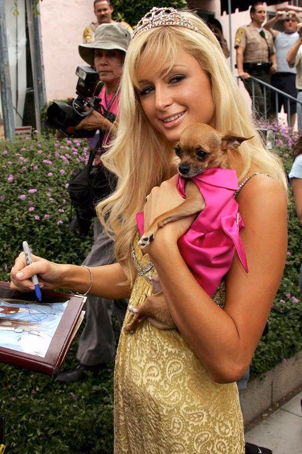 Paris Hilton đưa cún cưng đi dự sự kiện Paris Hilton đưa cún cưng đi dự sự kiện