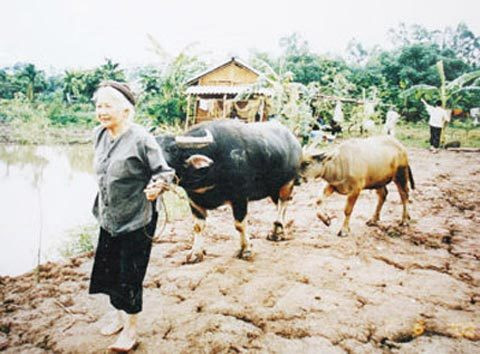 NSƯT Thu An với vai diễn hiền lành, vị tha. NSƯT Thu An với vai diễn hiền lành, vị tha.