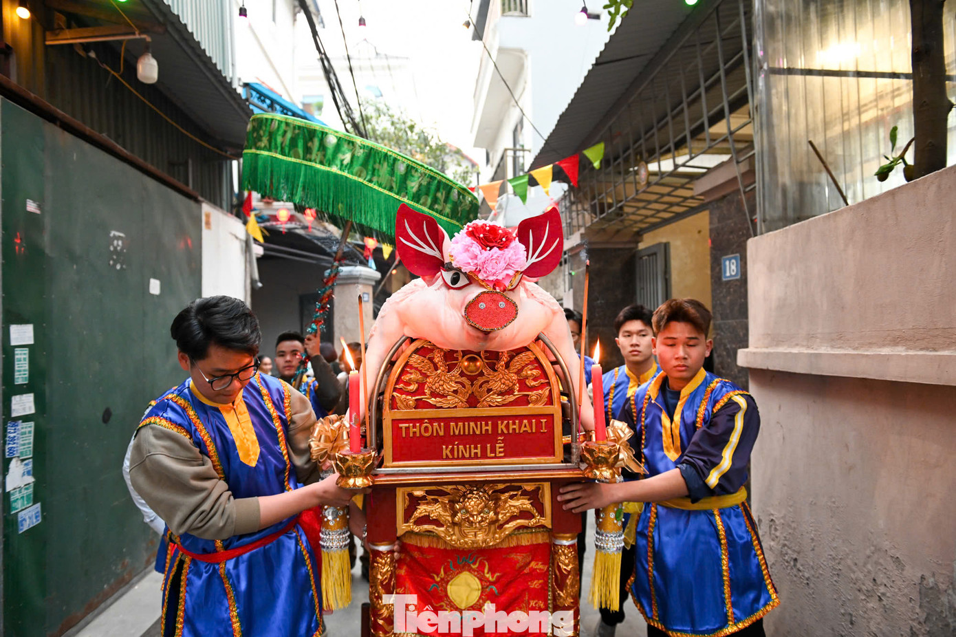 Lợn được chọn theo tiêu chuẩn khắt khe và cầu kỳ. Một dân làng cho biết "ông lợn" được ăn đồ mới, ăn hoa quả, cháo, ngày lạnh được đốt sưởi cho ấm. Đến ngày hội, gia chủ thắp hương khấn để lợn tự đi theo, không được trói buộc.