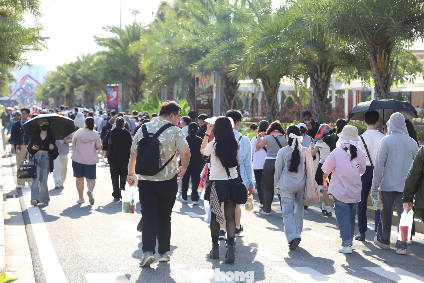 Concert Chị đẹp quy tụ 48 nghệ sĩ tham gia. Ban tổ chức chia địa điểm tổ chức ra thành 26 khu vực với mức giá khác nhau. Giá vé concert dao động từ 800.000 đồng đến 8 triệu đồng. Concert Chị đẹp quy tụ 48 nghệ sĩ tham gia. Ban tổ chức chia địa điểm tổ chức ra thành 26 khu vực với mức giá khác nhau. Giá vé concert dao động từ 800.000 đồng đến 8 triệu đồng.