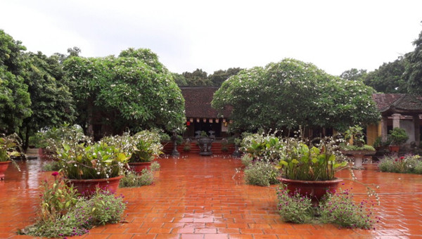 Chùa được xây dựng vào khoảng đầu thời Trần, trải qua nhiều lần tu sửa. Lần tu sửa lớn nhất vào năm 1626 và lần gần đây nhất vào tháng 4/2021. Chùa được xây dựng vào khoảng đầu thời Trần, trải qua nhiều lần tu sửa. Lần tu sửa lớn nhất vào năm 1626 và lần gần đây nhất vào tháng 4/2021.