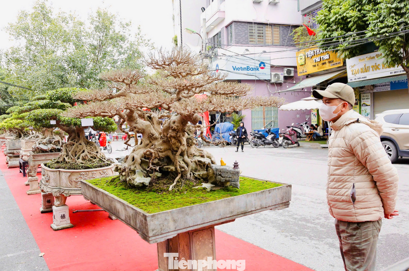 Làng Triều Khúc có khoảng 100 người chơi cây cảnh, 10 người được phong là nghệ nhân sinh vật cảnh cấp thành phố. 90% tác phẩm ở triển lãm thuộc sở hữu của dân làng Triều Khúc.