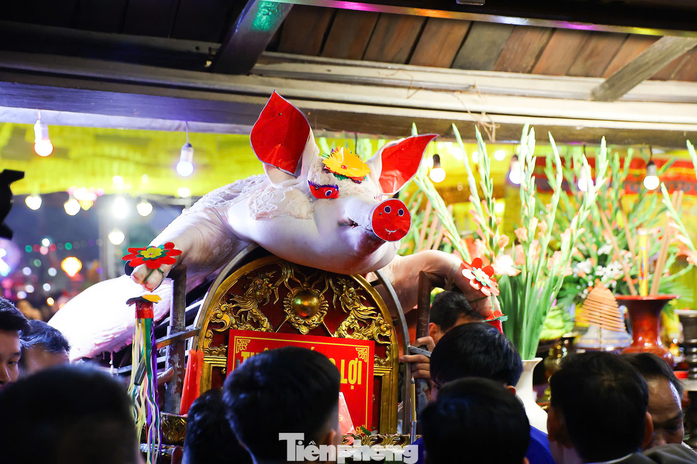 Các "ông lợn" được rước về đình.