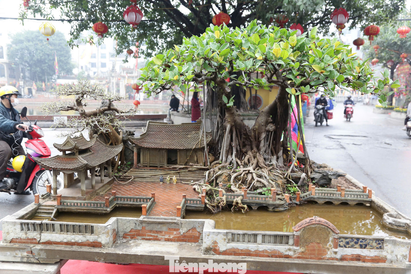 Tác phẩm Tiểu cảnh đa làng được nghệ nhân làm chỉn chu.