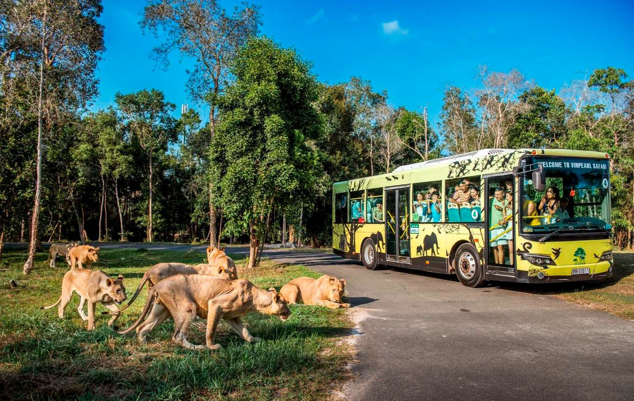 Cần thêm các hoạt động du lịch đa dạng để chiều lòng du khách. Ảnh: Klook.