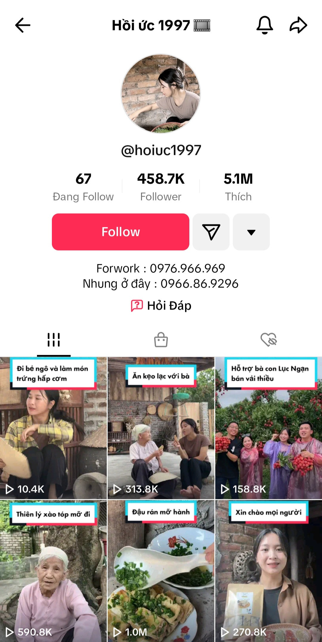 Những kênh TikTok về cuộc sống nông thôn hút cả triệu lượt thích. Những kênh TikTok về cuộc sống nông thôn hút cả triệu lượt thích.