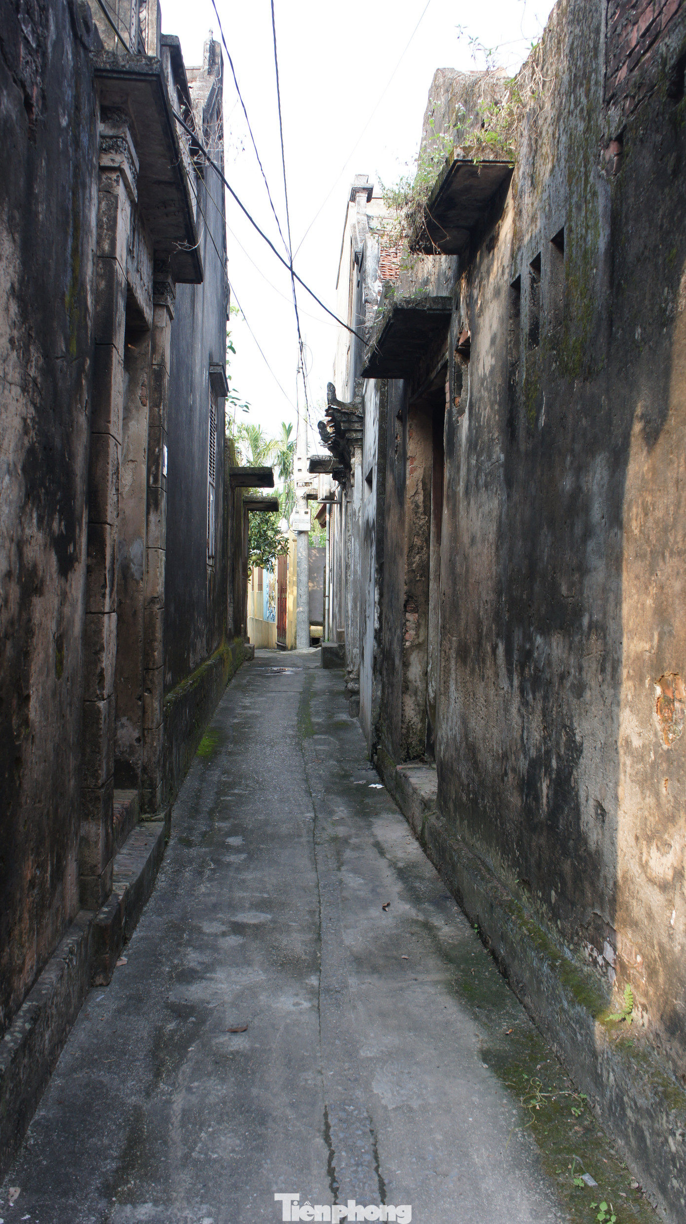 Những năm 1920-1922, làng Cựu xuất hiện những ngôi nhà gạch đan xen với các ngôi nhà lá, nhưng một cuộc hỏa hoạn xảy ra khiến nửa làng gần như bị thiêu trụi. Sau đó, một số gia đình đã ra thành thị giao lưu và học nghề. Có người thuộc tầng lớp khá giả có cơ hội sang Pháp học và tiếp thu được nghề may âu phục, khi về nước đã mở xưởng may đưa con cháu ra học và làm việc. Những ngôi nhà bề thế với lối kiến trúc kiến trúc Việt - Pháp ra đời từ đó,