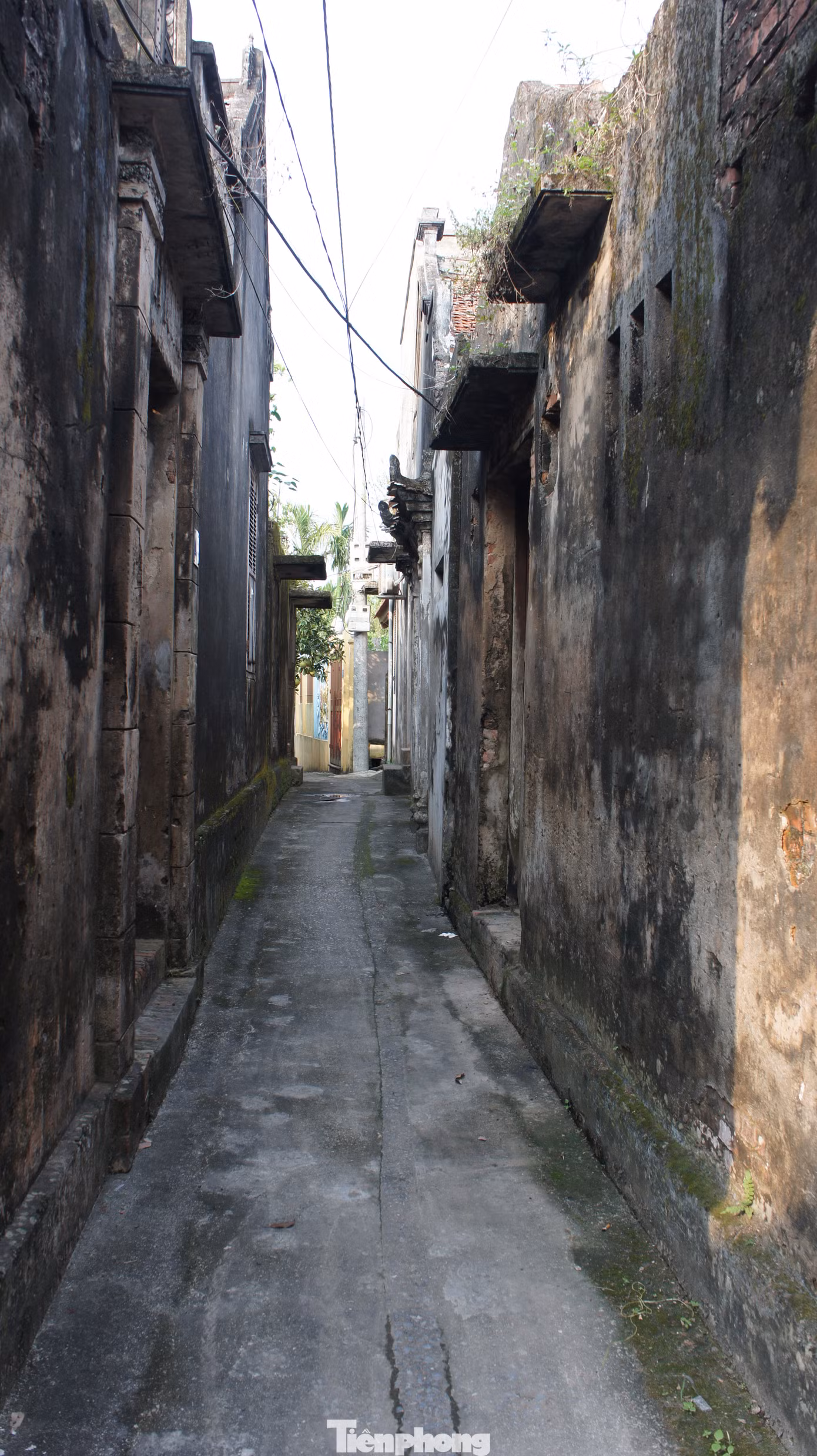 Những năm 1920-1922, làng Cựu xuất hiện những ngôi nhà gạch đan xen với các ngôi nhà lá, nhưng một cuộc hỏa hoạn xảy ra khiến nửa làng gần như bị thiêu trụi. Sau đó, một số gia đình đã ra thành thị giao lưu và học nghề. Có người thuộc tầng lớp khá giả có cơ hội sang Pháp học và tiếp thu được nghề may âu phục, khi về nước đã mở xưởng may đưa con cháu ra học và làm việc. Những ngôi nhà bề thế với lối kiến trúc kiến trúc Việt - Pháp ra đời từ đó,