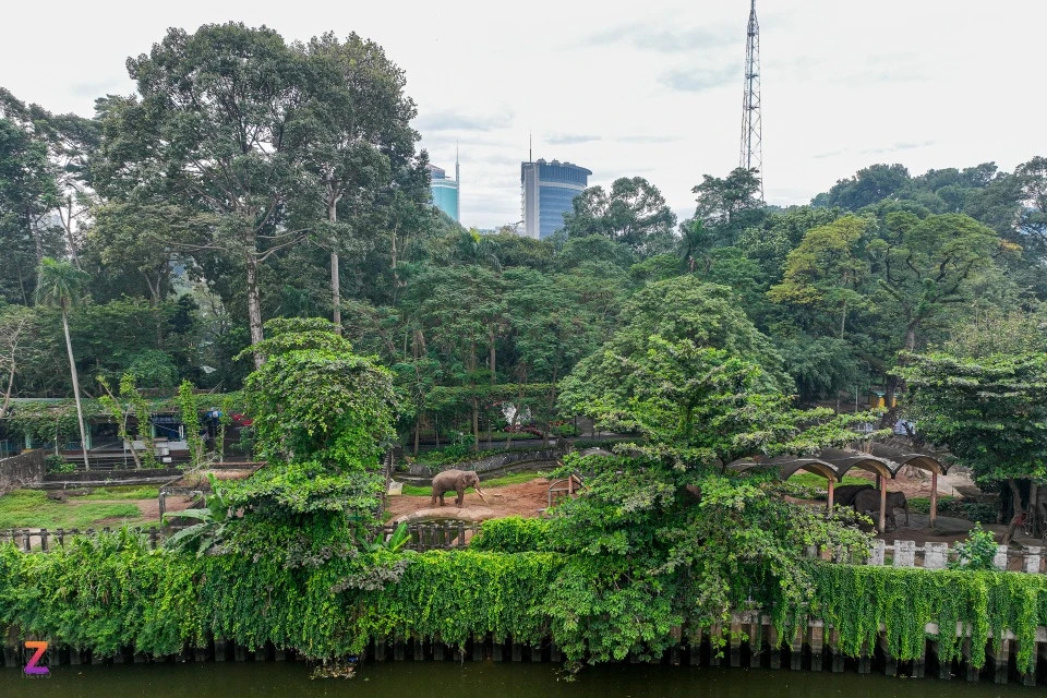 Hôm 11/12, sau chỉ đạo từ Chủ tịch UBND TP.HCM Phan Văn Mãi, Thảo Cầm Viên đã họp với Sở Tài nguyên và Môi trường (TNMT) TP.HCM để đưa ra phương án xử lý tiền nợ thuế. Trong đó, hai bên thống nhất Thảo Cầm Viên sẽ rà soát, báo cáo hiện trạng sử dụng đất, trên cơ sở phân tách rõ ràng diện tích đất kinh doanh dịch vụ và diện tích công cộng không sinh lợi nhuận. Hôm 11/12, sau chỉ đạo từ Chủ tịch UBND TP.HCM Phan Văn Mãi, Thảo Cầm Viên đã họp với Sở Tài nguyên và Môi trường (TNMT) TP.HCM để đưa ra phương án xử lý tiền nợ thuế. Trong đó, hai bên thống nhất Thảo Cầm Viên sẽ rà soát, báo cáo hiện trạng sử dụng đất, trên cơ sở phân tách rõ ràng diện tích đất kinh doanh dịch vụ và diện tích công cộng không sinh lợi nhuận.