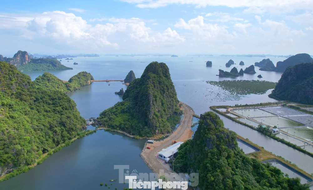 Đơn vị xây dựng dự án đô thị đổ đất đá lấp vùng đệm di sản thiên nhiên thế giới vịnh Hạ Long. Đơn vị xây dựng dự án đô thị đổ đất đá lấp vùng đệm di sản thiên nhiên thế giới vịnh Hạ Long.