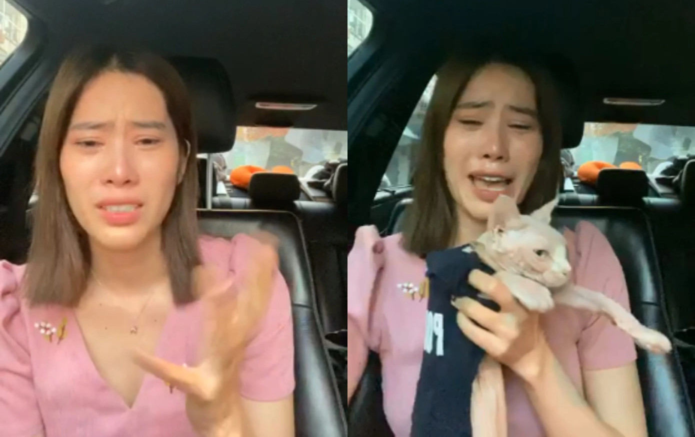 Những phiên livestream của Nam Em khiến showbiz Việt nhốn nháo. Những phiên livestream của Nam Em khiến showbiz Việt nhốn nháo.