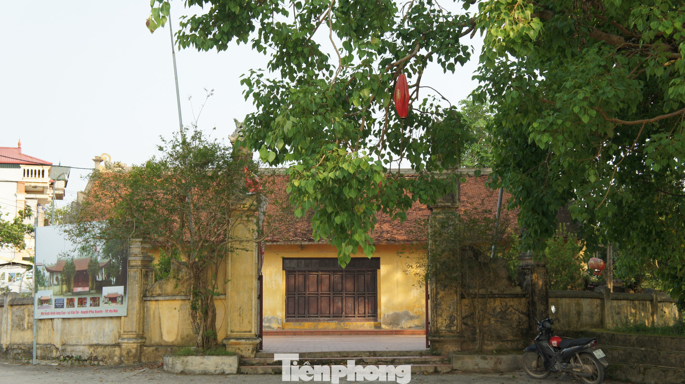 Những gia đình giàu có ở làng Cựu xây nhà rất công phu. Có những ngôi biệt thự, riêng phần cửa làm mất cả năm trời. Dân làng cho biết, làng Cựu thường xuyên đón các đoàn khách quốc tế, đoàn làm phim Việt Nam ghé thăm.