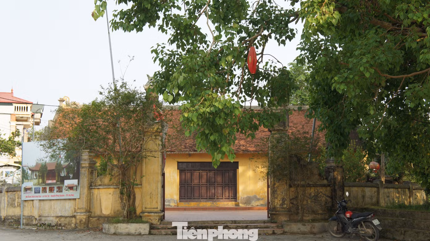Những gia đình giàu có ở làng Cựu xây nhà rất công phu. Có những ngôi biệt thự, riêng phần cửa làm mất cả năm trời. Dân làng cho biết, làng Cựu thường xuyên đón các đoàn khách quốc tế, đoàn làm phim Việt Nam ghé thăm.