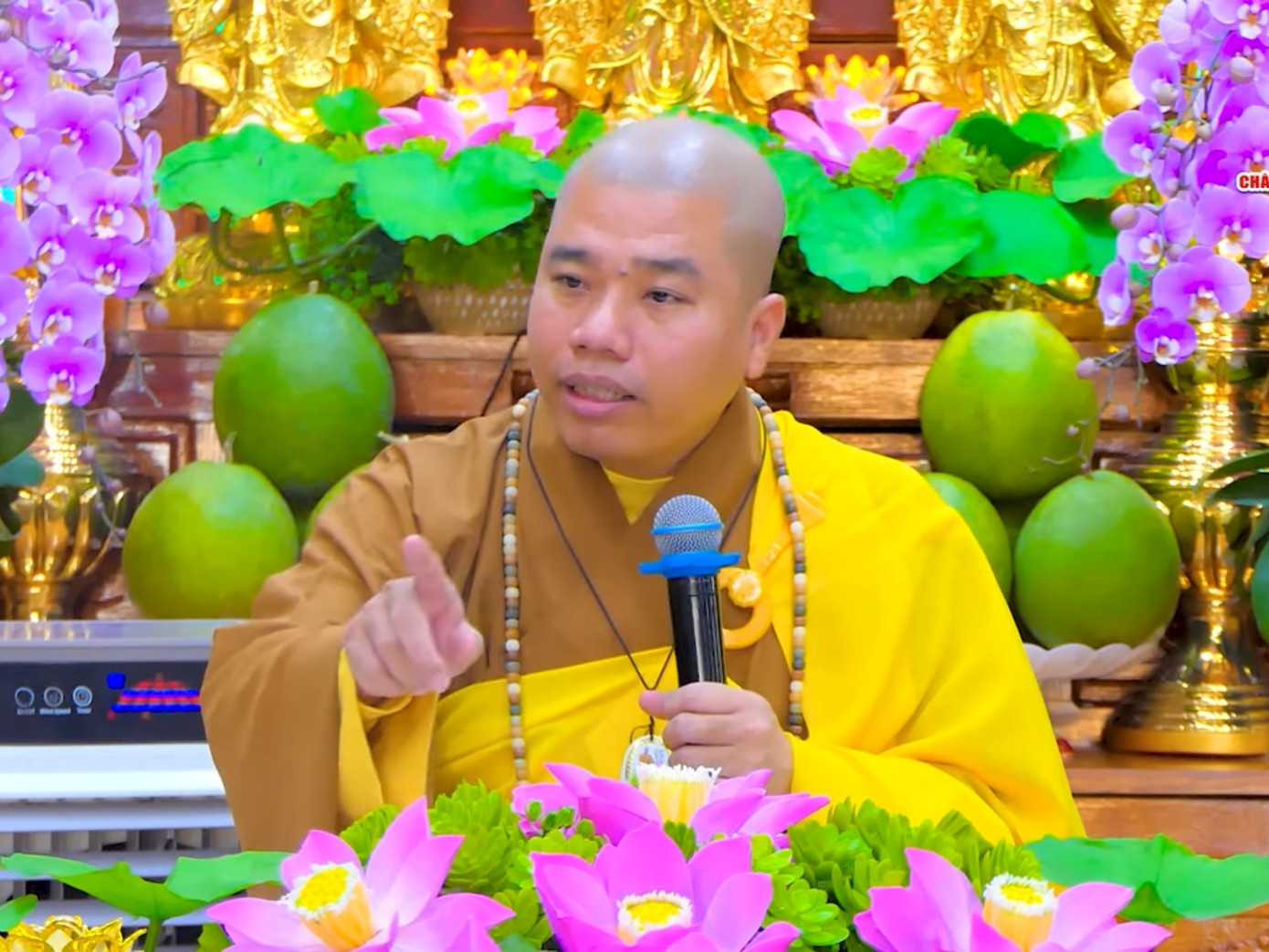 Đại đức Thích Nhuận Đức tiếp tục sám hối và xin lỗi sau khi bị cấm thuyết giảng một năm.