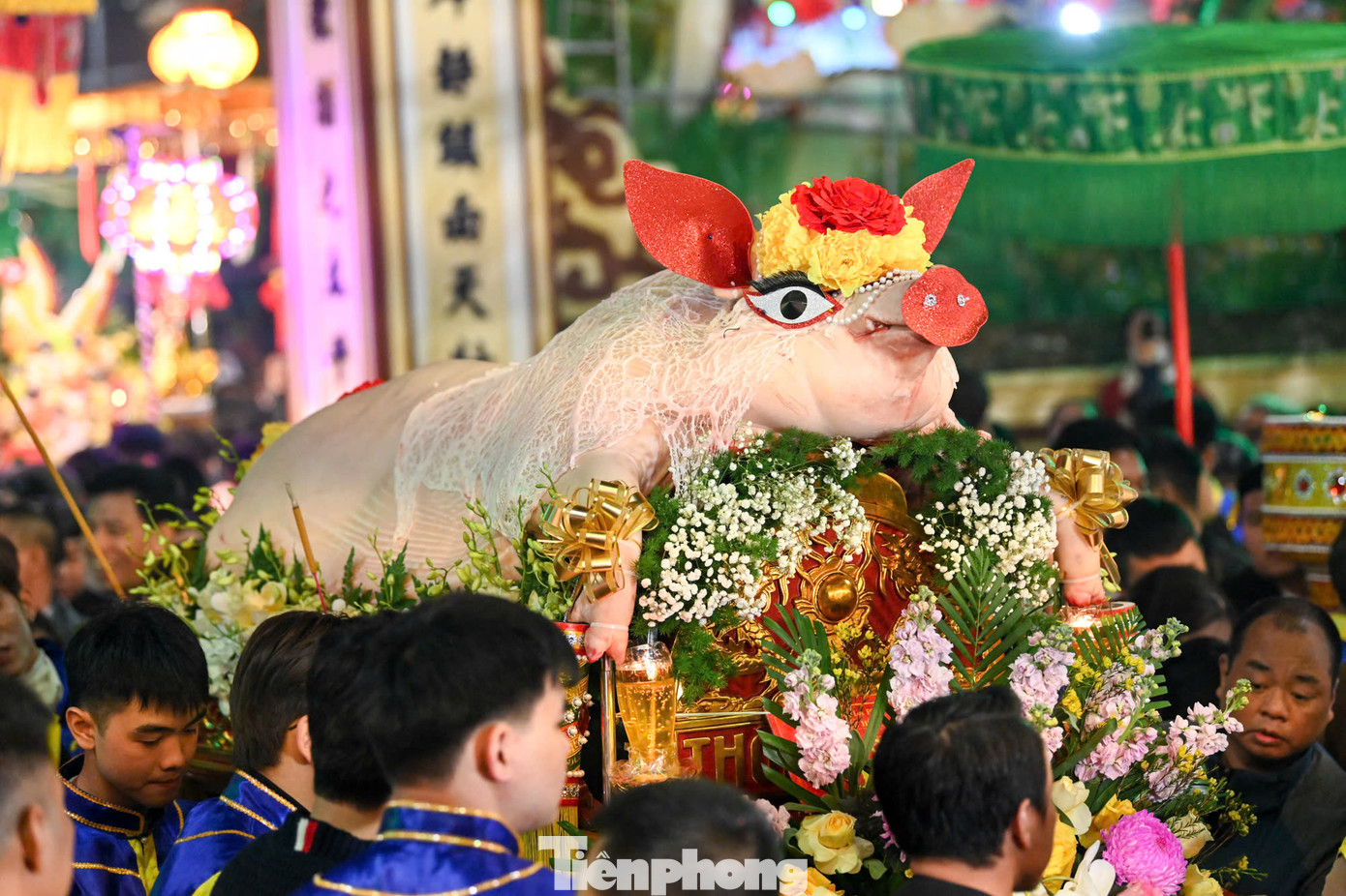 Lợn đến ngày rước nặng khoảng 200-300 kg là vừa đẹp.