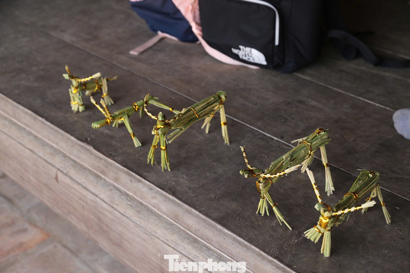 Với ý tưởng này, người nông dân cũng có thêm thu nhập, góp phần làm đa dạng hoạt động du lịch ở địa phương, quảng bá những hình đẹp ảnh của làng quê Việt Nam.