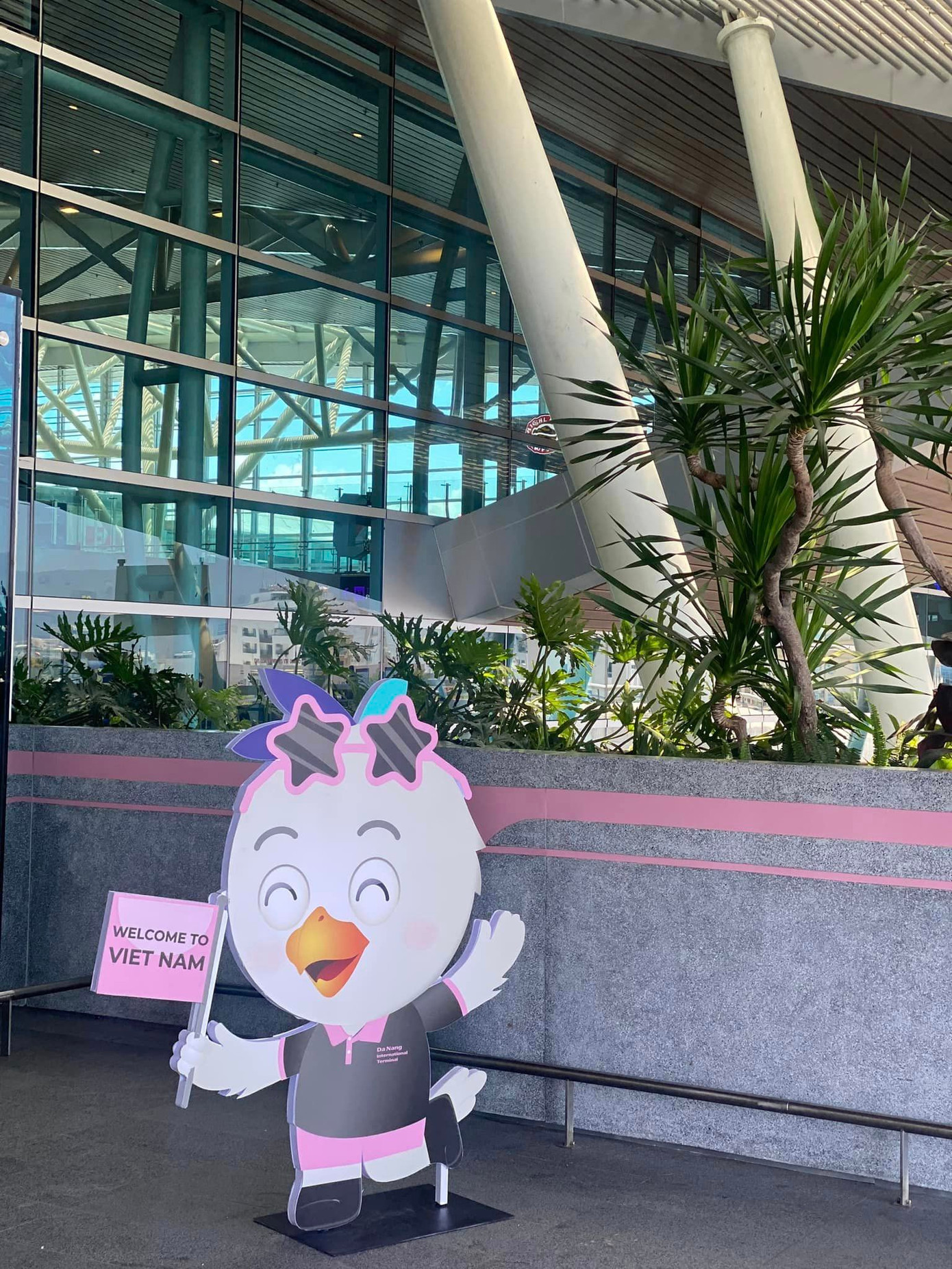 Sân bay Đà Nẵng thực hiện dự án Pink Terminal để hưởng ứng sự kiện nhóm BlackPink đến Việt Nam.