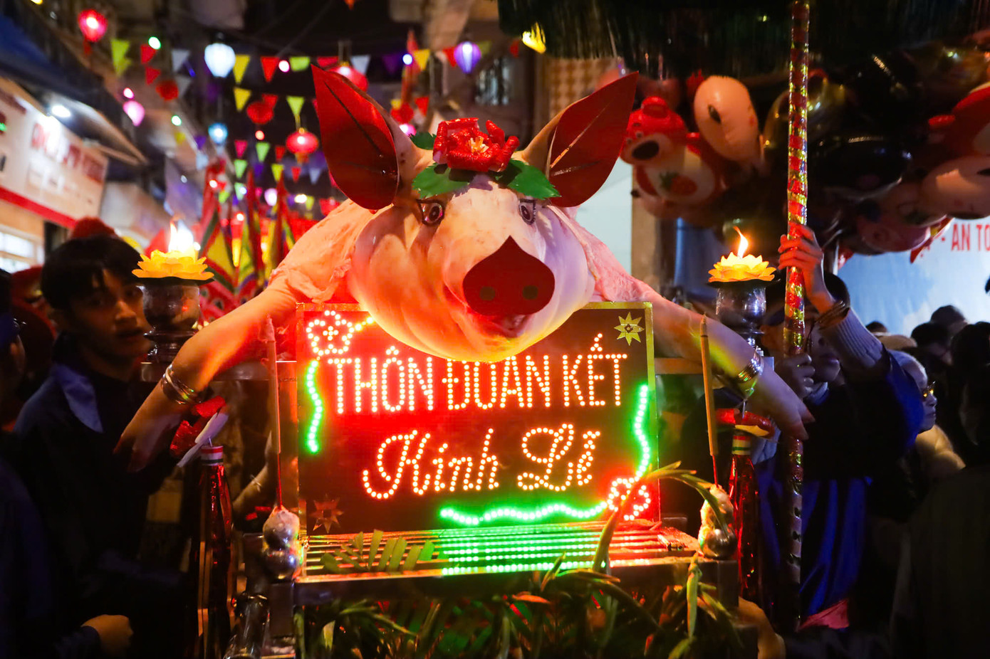 Lợn của thôn Đoàn Kết.