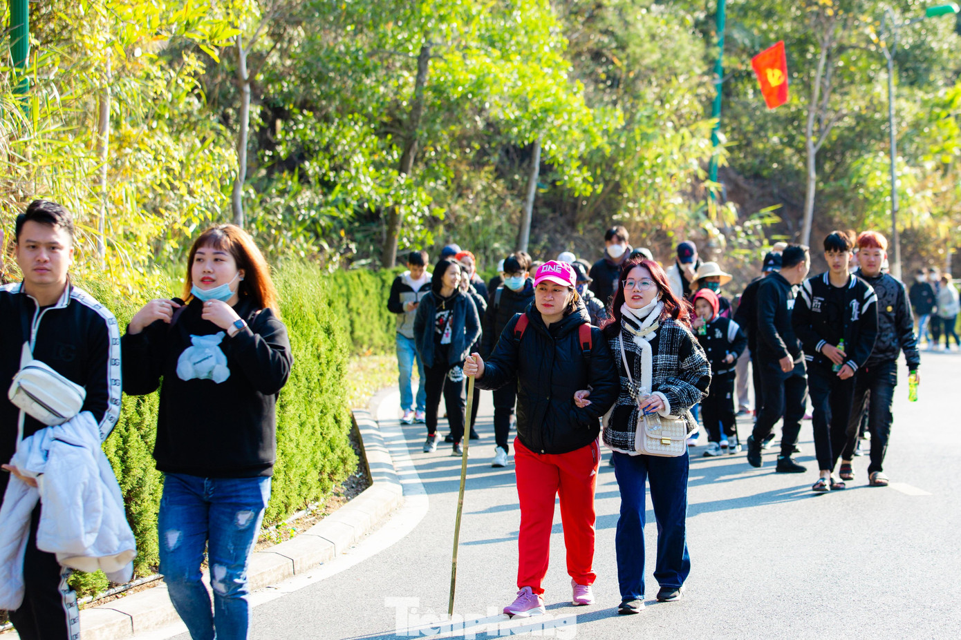 Gậy tre, trúc được sử dụng để thuận tiện di chuyển trên quãng đường khá dài lên Trung tâm tổ chức lễ hội - Cung Trúc Lâm. Ảnh: TRỌNG TÀI.