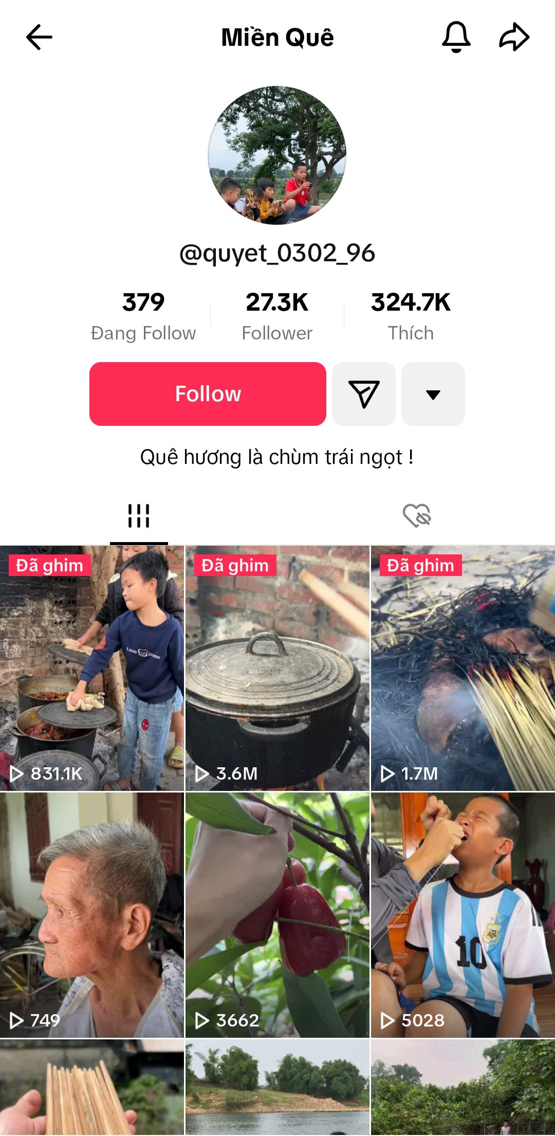 Những kênh TikTok về cuộc sống nông thôn hút cả triệu lượt thích. Những kênh TikTok về cuộc sống nông thôn hút cả triệu lượt thích.