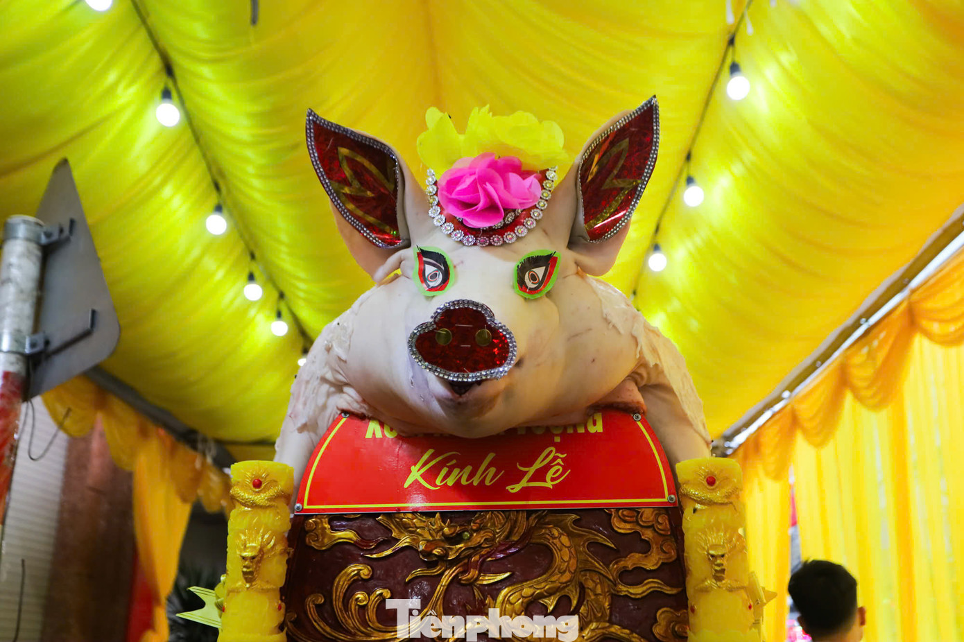 Mỗi thôn được chọn một "ông lợn" duy nhất để làm lễ. Từ tháng Chạp, các hộ đăng cai tu lễ phải mang gạo nếp đưa cho hộ nuôi để nấu cháo cho lợn ăn. Các "ông lợn" được rước trên một kiệu lớn.