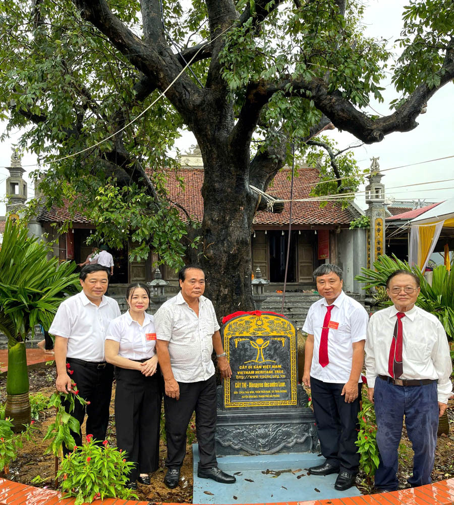 Các đại biểu, chuyên gia chụp dưới cây thị gần 400 năm tuổi ở Hải Phòng - vừa được công nhận là cây di sản Việt Nam. Ảnh: VACNE.