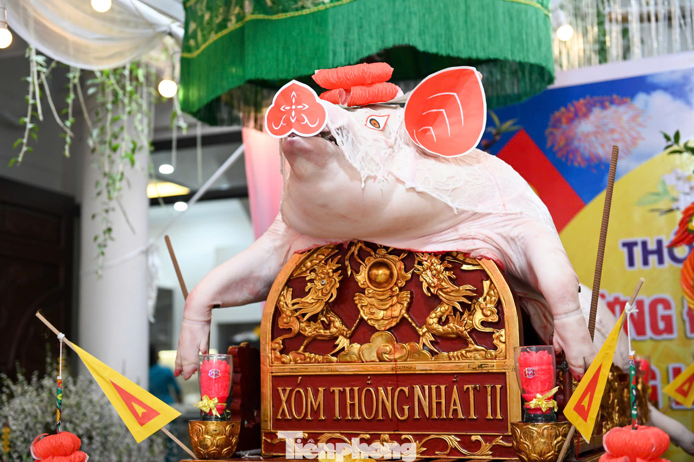 Lợn của xóm Thống nhất 2. Phần thân nằm trên kiệu trang trí sẵn, nội tạng xếp gọn vào chiếc mâm bên dưới.