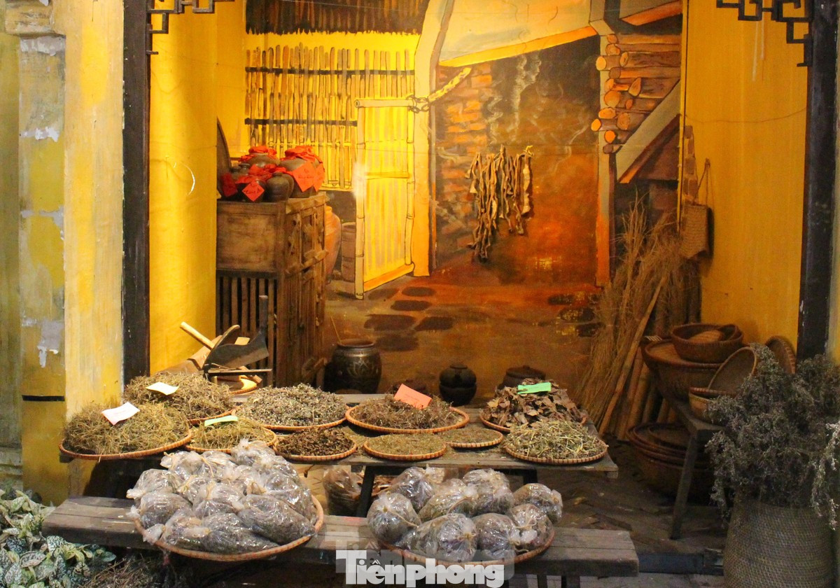 Theo tục hái lá làm thuốc của người xưa, giờ Ngọ (11-13h) là thời khắc dương khí tốt nhất vì mặt trời tỏa ra ánh nắng nhiều nhất. Các loại lá hái và phơi trong thời gian này có tác dụng chữa bệnh rất tốt. Tục hái lá làm thảo dược trong ngày Tết Đoan Ngọ khiến dịp này được gọi là ngày “y dược toàn dân”.