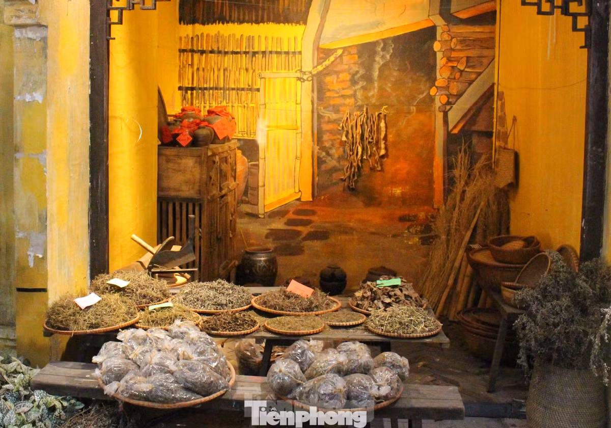 Theo tục hái lá làm thuốc của người xưa, giờ Ngọ (11-13h) là thời khắc dương khí tốt nhất vì mặt trời tỏa ra ánh nắng nhiều nhất. Các loại lá hái và phơi trong thời gian này có tác dụng chữa bệnh rất tốt. Tục hái lá làm thảo dược trong ngày Tết Đoan Ngọ khiến dịp này được gọi là ngày “y dược toàn dân”.