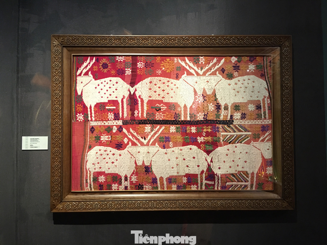 Hình dê, đồi núi trên các tấm nà pha.