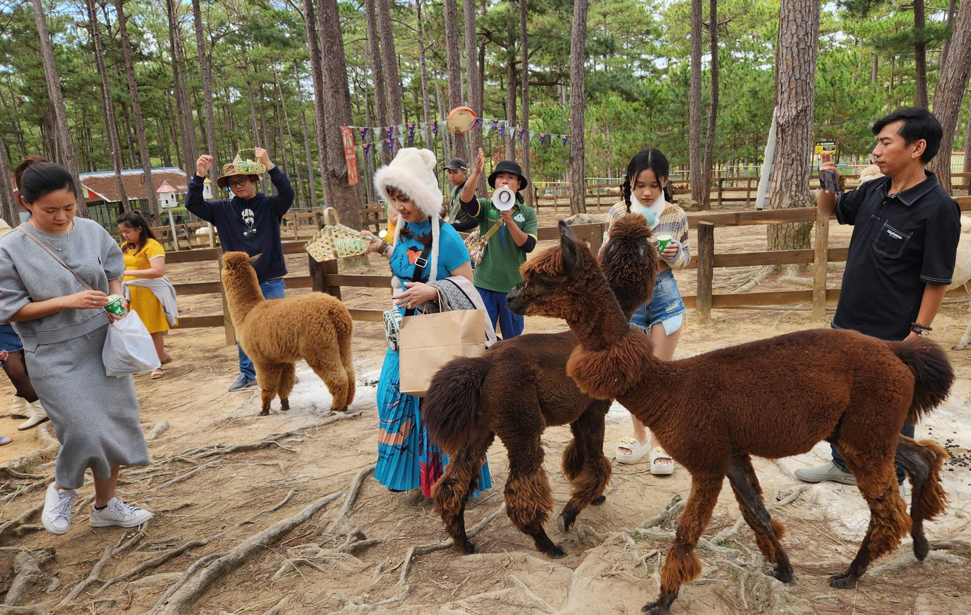 Ngày Văn hóa Lâm Đồng quảng bá hình ảnh, con người, văn hóa và tiềm năng du lịch của vùng đất cao nguyên. Ngày Văn hóa Lâm Đồng quảng bá hình ảnh, con người, văn hóa và tiềm năng du lịch của vùng đất cao nguyên.