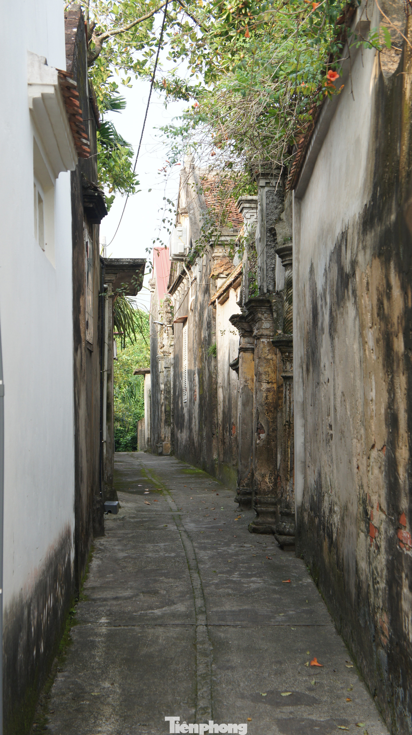 Những năm 1920-1922, làng Cựu xuất hiện những ngôi nhà gạch đan xen với các ngôi nhà lá, nhưng một cuộc hỏa hoạn xảy ra khiến nửa làng gần như bị thiêu trụi. Sau đó, một số gia đình đã ra thành thị giao lưu và học nghề. Có người thuộc tầng lớp khá giả có cơ hội sang Pháp học và tiếp thu được nghề may âu phục, khi về nước đã mở xưởng may đưa con cháu ra học và làm việc. Những ngôi nhà bề thế với lối kiến trúc kiến trúc Việt - Pháp ra đời từ đó,