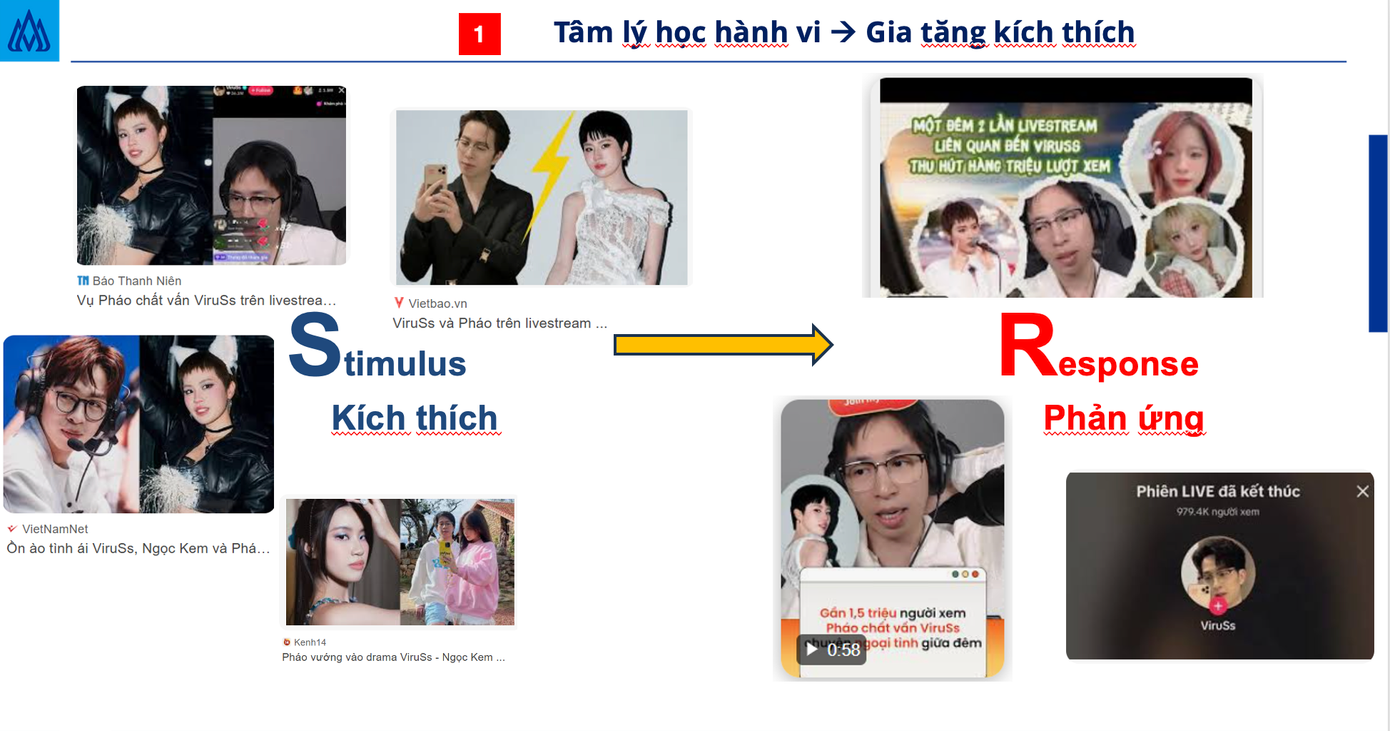Dưới góc độ tâm lý học, tâm lý học đám đông làm lây lan cảm xúc và bắt chước hành vi. Dưới góc độ tâm lý học, tâm lý học đám đông làm lây lan cảm xúc và bắt chước hành vi.