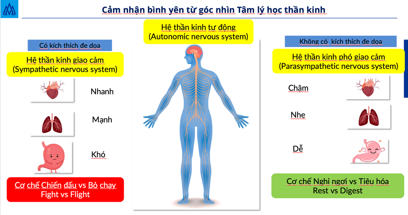 Dưới góc độ tâm lý học, tâm lý học đám đông làm lây lan cảm xúc và bắt chước hành vi. Dưới góc độ tâm lý học, tâm lý học đám đông làm lây lan cảm xúc và bắt chước hành vi.