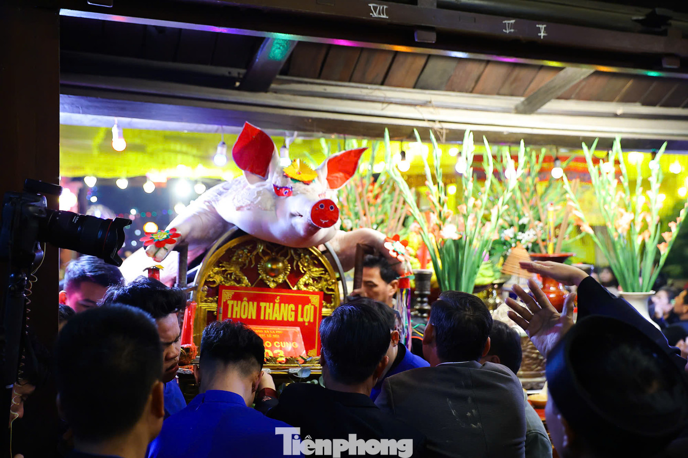 Các "ông lợn" được rước về đình.