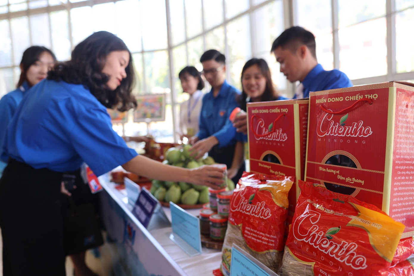 Nhiệm kỳ qua, Tỉnh Đoàn Hòa Bình đã xây dựng triển khai thực hiện Đề án “Chương trình tín dụng ưu đãi hỗ trợ thanh niên khởi nghiệp” giai đoạn 2017 – 2020”, chủ động phối hợp với Ngân hàng CSXH tỉnh, T.Ư Đoàn duy trì tốt nguồn vốn vay ủy thác, vốn 120 .