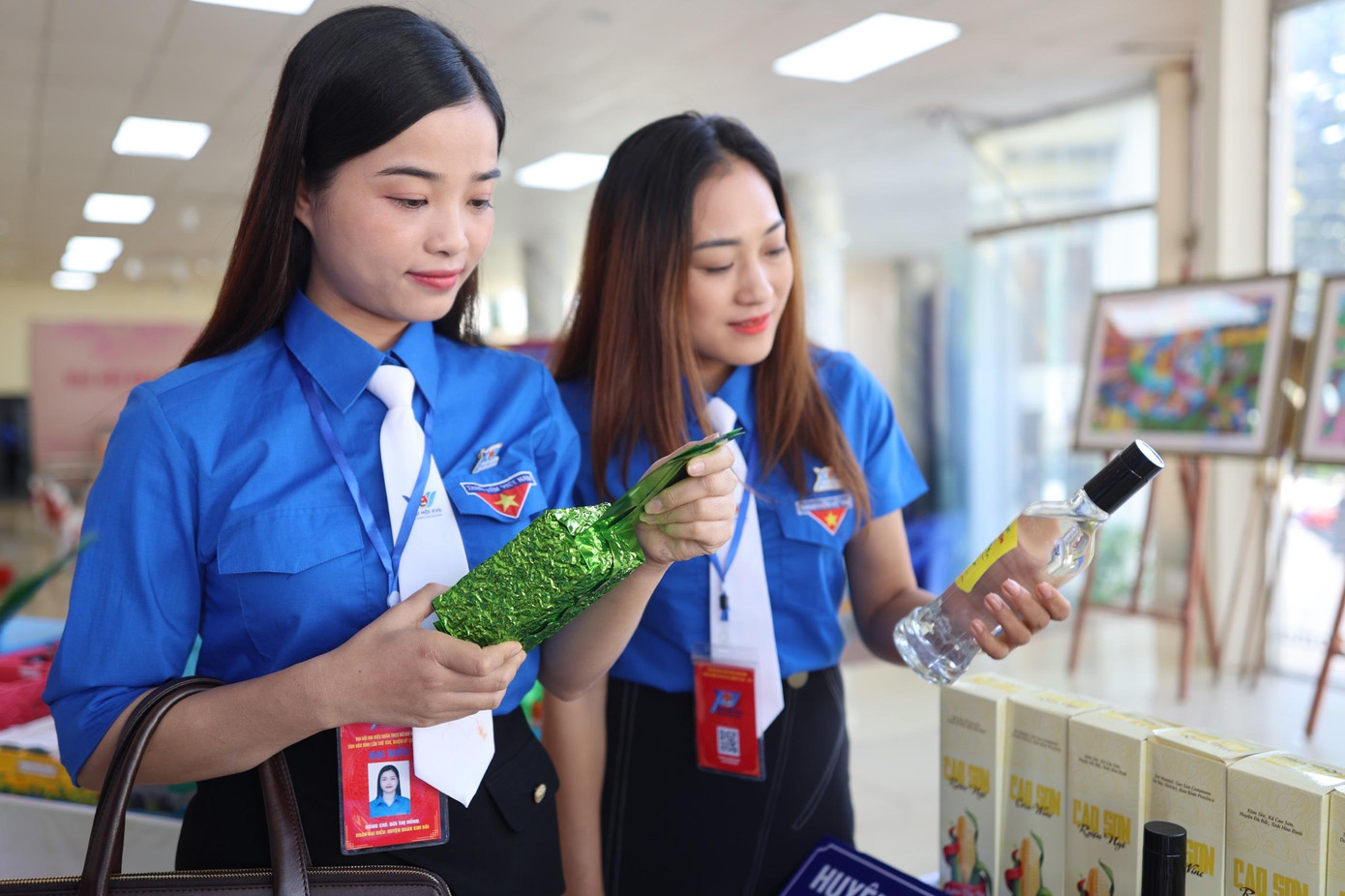 Trà shan tuyết Pà Cò mang đặc trưng riêng của Hòa Bình được thu hái theo tiêu chuẩn 1 tôm, 2 lá non.