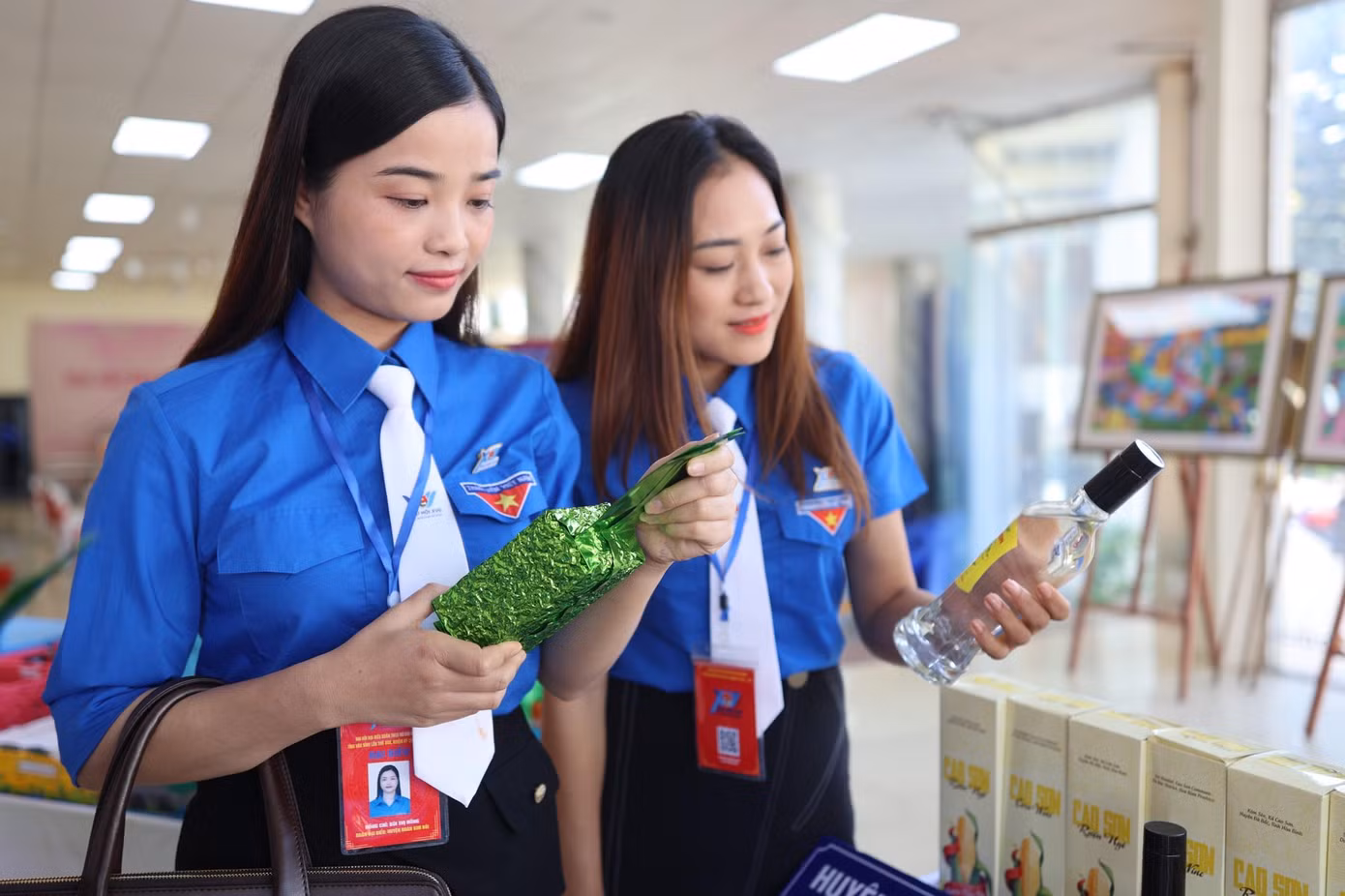 Trà shan tuyết Pà Cò mang đặc trưng riêng của Hòa Bình được thu hái theo tiêu chuẩn 1 tôm, 2 lá non.