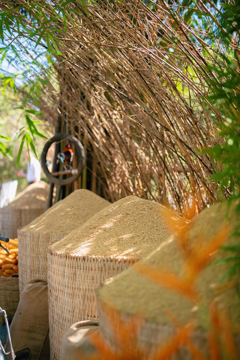 Ngô, lúa cũng được đem ra trang trí đám cưới. Hoa thiên điểu nở rực khiến không gian cưới thêm sắc màu Ngô, lúa cũng được đem ra trang trí đám cưới. Hoa thiên điểu nở rực khiến không gian cưới thêm sắc màu