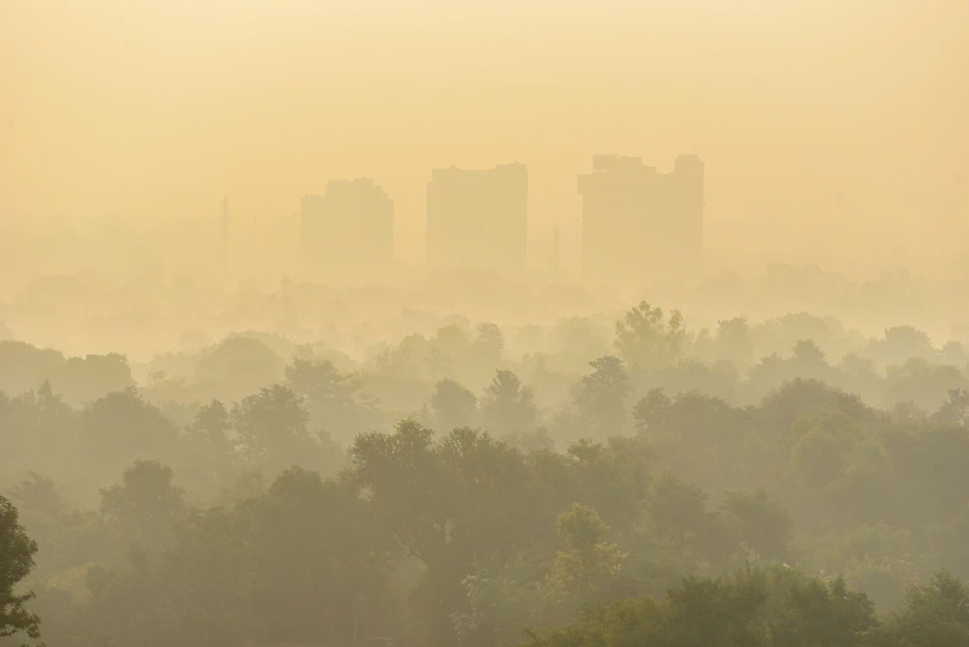 Màn sương mù chết chóc bao phủ các tượng đài và tòa nhà cao tầng ở New Delhi, khiến tầm nhìn xuống thấp đến mức các hãng hàng không phải cảnh báo về sự chậm trễ. Ảnh: The Atlantic. Màn sương mù chết chóc bao phủ các tượng đài và tòa nhà cao tầng ở New Delhi, khiến tầm nhìn xuống thấp đến mức các hãng hàng không phải cảnh báo về sự chậm trễ. Ảnh: The Atlantic.