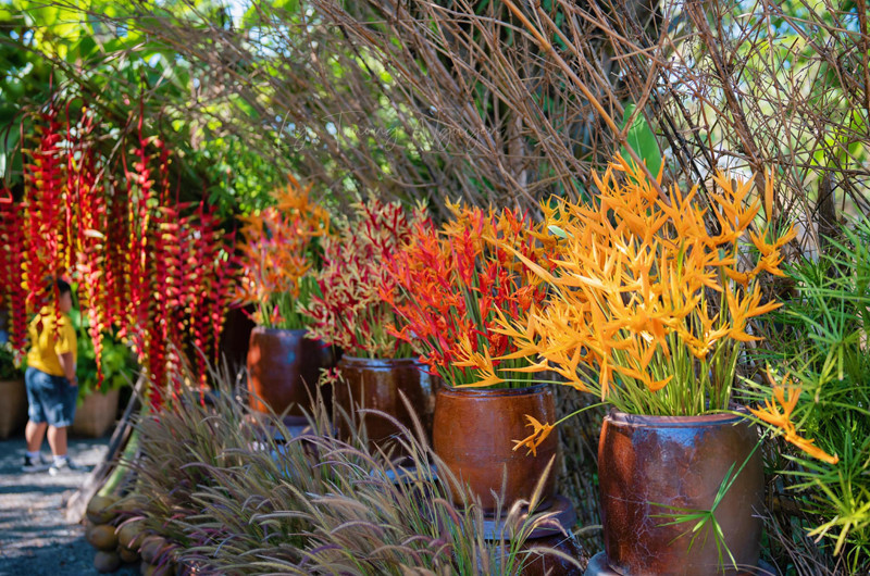 Khách khứa thích thú ngắm nghía không gian cưới độc đáo Khách khứa thích thú ngắm nghía không gian cưới độc đáo