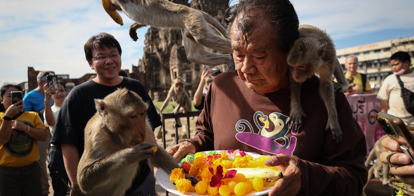 Lopburi được mệnh danh là “Thành phố khỉ” hay “Vương quốc khỉ” và thu hút khách du lịch từ khắp nơi đổ về trải nghiệm. Ảnh: Reuters. Lopburi được mệnh danh là “Thành phố khỉ” hay “Vương quốc khỉ” và thu hút khách du lịch từ khắp nơi đổ về trải nghiệm. Ảnh: Reuters.