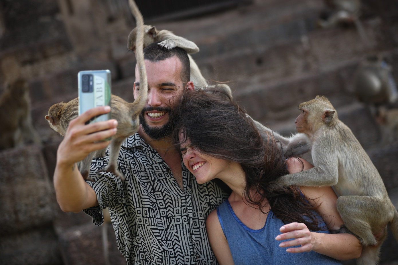 Những con khỉ đuôi dài trèo lên người khách du lịch trong Lễ hội Khỉ thường niên tại chùa Phra Prang Sam Yot, ở Lopburi hồi tháng 11/2023. Ảnh: Reuters. Những con khỉ đuôi dài trèo lên người khách du lịch trong Lễ hội Khỉ thường niên tại chùa Phra Prang Sam Yot, ở Lopburi hồi tháng 11/2023. Ảnh: Reuters.