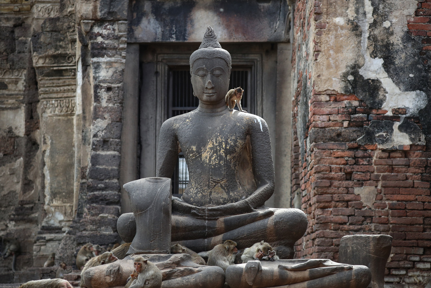 Lopburi được mệnh danh là “Thành phố khỉ” hay “Vương quốc khỉ” và thu hút khách du lịch từ khắp nơi đổ về trải nghiệm. Ảnh: Reuters. Lopburi được mệnh danh là “Thành phố khỉ” hay “Vương quốc khỉ” và thu hút khách du lịch từ khắp nơi đổ về trải nghiệm. Ảnh: Reuters.