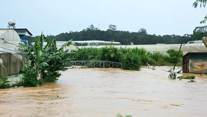 Mỗi khi có mưa lớn kéo dài, nước tràn bờ gây lũ lụt một số khu vực ven suối ở Đà Lạt Mỗi khi có mưa lớn kéo dài, nước tràn bờ gây lũ lụt một số khu vực ven suối ở Đà Lạt