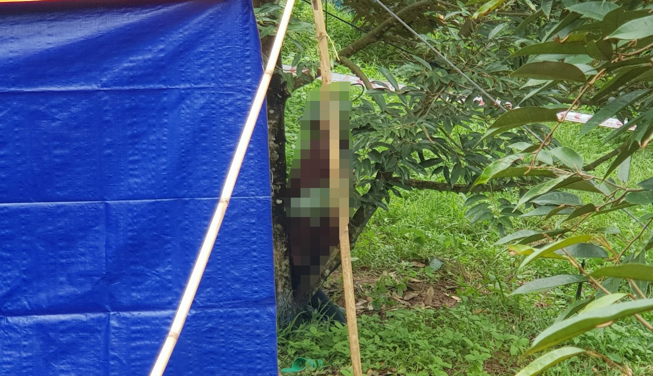 Nơi phát hiện người đàn ông tử vong trong tư thế treo cổ trên cây Nơi phát hiện người đàn ông tử vong trong tư thế treo cổ trên cây