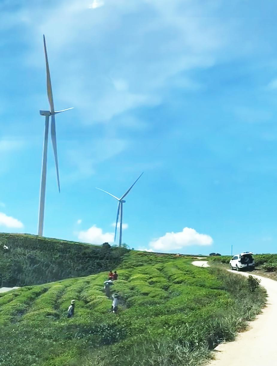 Du khách chụp ảnh lưu niệm với những tua bin đầu tiên trên đồi chè Cầu Đất Du khách chụp ảnh lưu niệm với những tua bin đầu tiên trên đồi chè Cầu Đất