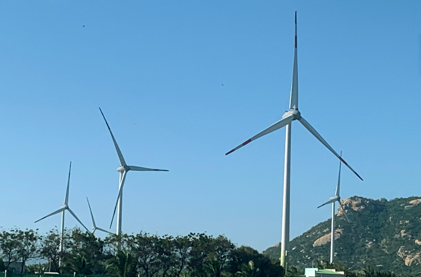 Những tua bin ven biển, một mặt giáp với dãy núi đá ở Ninh Thuận Những tua bin ven biển, một mặt giáp với dãy núi đá ở Ninh Thuận